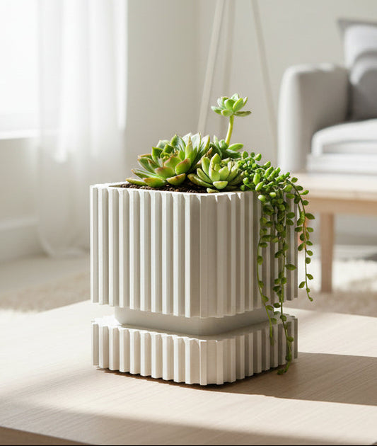 Modernus vazonas „Linija“