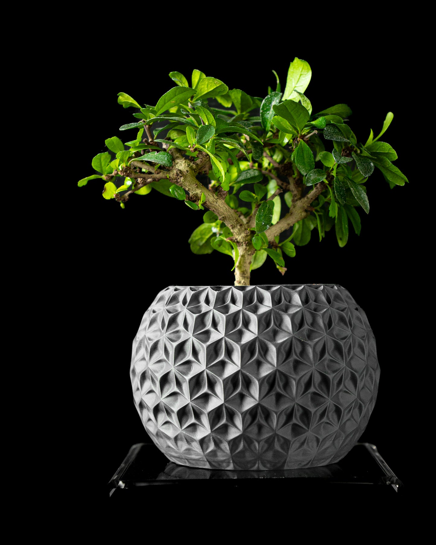 Modernus vazonas „Trihex"
