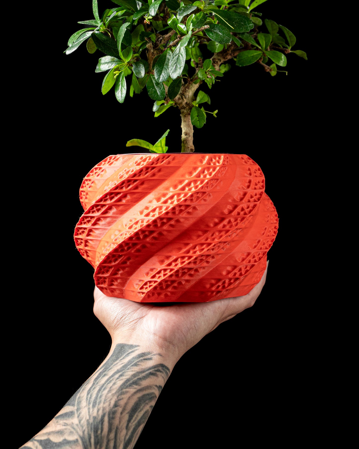 Modernus vazonas „Shell“