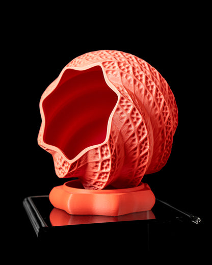 Modernus vazonas „Shell“