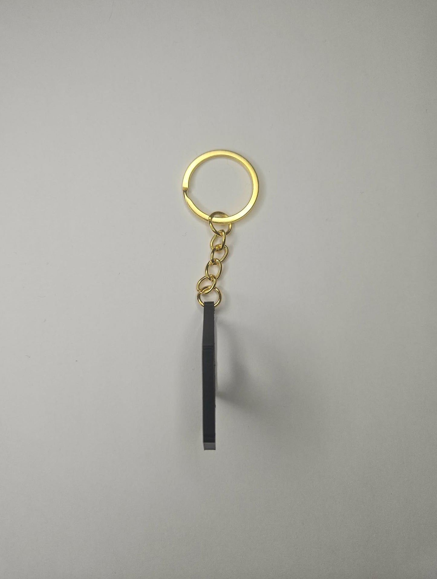 Raktų pakabukas Renault